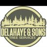DeLaHaye & Son