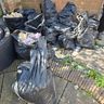 Victor waste removal service