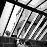 Mani Carpentry & Building