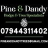 Pine and Dandy Tree Services