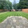 All things gardening