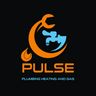Pulse plumbing heating and gas