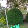 D&Gardening services