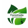 Forestside landscapes