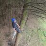 Hurley tree surgeon