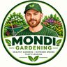 Mondii Ltd