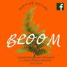 Bloom Gardening and Maintenance