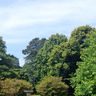 T.Kempsey Garden Maintenance