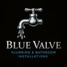 Blue valve co