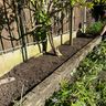 L B Gardens