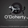 Odohertyj