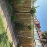 Woodcraft fencing