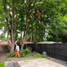 GK Arb Services