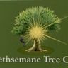 Gethsemanetreecare tree care