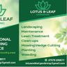 Lotus&Leaf gardening