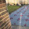 Ideal Landscaping