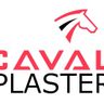 Cavalry Plastering