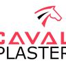 Cavalry Plastering