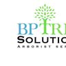 BPTreeSolutions
