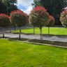Regs Garden and Lawn Care