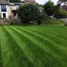 OW gardening