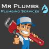 Mr Plumbs