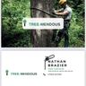 Tree-mendous landscapes