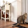 West midlands Catflaps
