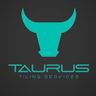 Taurus tiling service