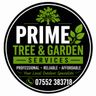 1st class tree and garden service