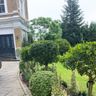 LS LANDSCAPES