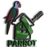 Parrot Painting