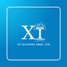 XI CLEANING PROS LTD