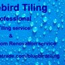 Bluebird tiling and bathrooms