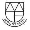 Mount Fetti Ltd