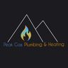 Peak Gas Plumbing & Heating