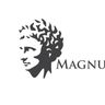 Magnus construction